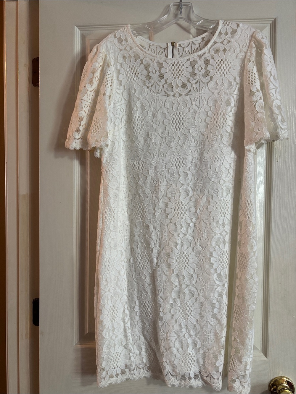 Dress Barn White Lace Flutter Sleeve Mini Dress